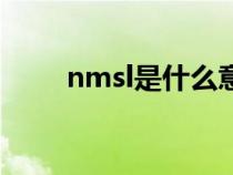 nmsl是什么意思（nmsl是什么梗）