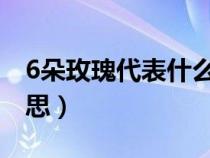 6朵玫瑰代表什么意思（三朵玫瑰代表什么意思）