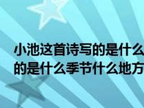 小池这首诗写的是什么季节什么地方的景色（小池这首诗写的是什么季节什么地方）