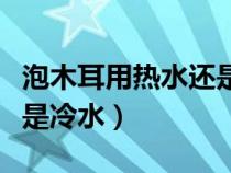 泡木耳用热水还是冷水下锅（泡木耳用热水还是冷水）