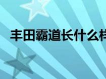 丰田霸道长什么样子（丰田霸道长什么样）