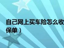 自己网上买车险怎么收到保单号（自己网上买车险怎么收到保单）