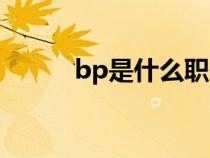 bp是什么职位（bd是什么职位）