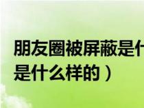 朋友圈被屏蔽是什么样的显示（朋友圈被屏蔽是什么样的）