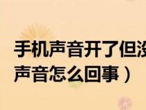 手机声音开了但没声音（苹果手机玩游戏没有声音怎么回事）