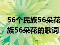 56个民族56朵花的歌词是什么效应（56个民族56朵花的歌词）