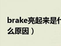 brake亮起来是什么意思（brake灯亮了是什么原因）