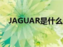 JAGUAR是什么车牌（jaguar是什么车）