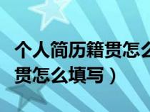 个人简历籍贯怎么填写模板表格（个人简历籍贯怎么填写）