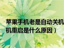 苹果手机老是自动关机重启怎么解决（苹果手机老是自动关机重启是什么原因）