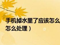 手机掉水里了应该怎么处理声音变小了（手机掉水里了应该怎么处理）