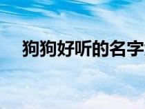 狗狗好听的名字大全（好听的名字大全）