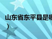 山东省东平县是哪个地区（山东省东平县位置）