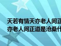 天若有情天亦老人间正道是沧桑是什么意思?（天若有情天亦老人间正道是沧桑什么意思）