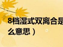 8档湿式双离合是什么意思（湿式双离合是什么意思）