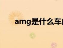 amg是什么车内饰（AMG是什么车）