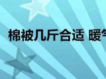 棉被几斤合适 暖气家（棉被一般几斤合适）