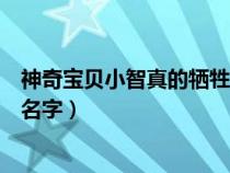 神奇宝贝小智真的牺牲了吗（神奇宝贝小智死去电影叫什么名字）