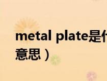 metal plate是什么意思（英语plate是什么意思）