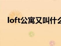 loft公寓又叫什么（loft公寓是什么意思）