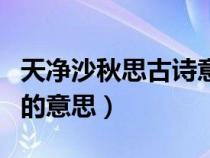 天净沙秋思古诗意思解释（天净沙秋思古诗词的意思）