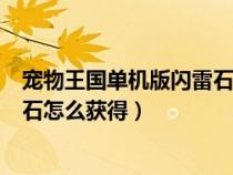 宠物王国单机版闪雷石怎么获得视频（宠物王国单机版闪雷石怎么获得）