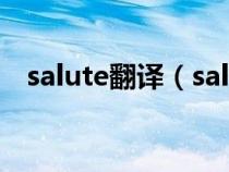 salute翻译（salute和respect是什么梗）