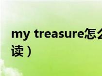 my treasure怎么读（英语mypleasure怎么读）