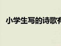 小学生写的诗歌有哪些（小学生写的诗歌）