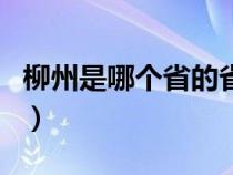 柳州是哪个省的省会城市啊（柳州是哪个省的）