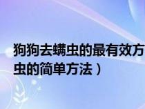 狗狗去螨虫的最有效方法（狗狗去螨虫最好的方法狗狗除螨虫的简单方法）