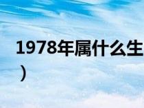 1978年属什么生肖配对最好（1978年属什么）