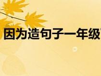 因为造句子一年级下册（因为造句子一年级）