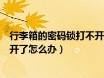 行李箱的密码锁打不开了怎么办保罗（行李箱的密码锁打不开了怎么办）