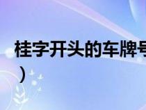 桂字开头的车牌号（桂开头的车牌是什么地方）