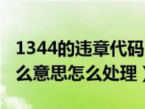 1344的违章代码是什么（1344违章代码是什么意思怎么处理）