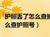 护照丢了怎么查护照号码是多少（护照丢了怎么查护照号）