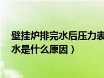 壁挂炉排完水后压力表不归零（壁挂炉上水压力表为0不漏水是什么原因）