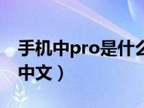 手机中pro是什么意思中文（pro是什么意思中文）