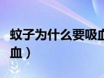 蚊子为什么要吸血为什么痒（蚊子为什么要吸血）