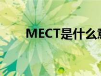 MECT是什么意思（mc是什么意思）