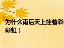 为什么雨后天上挂着彩虹答案10个字（为什么雨后天上挂着彩虹）