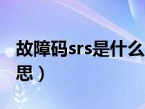 故障码srs是什么意思（srs系统故障是什么意思）