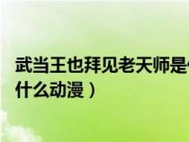 武当王也拜见老天师是什么动漫 狗（武当王也拜见老天师是什么动漫）