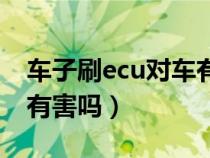 车子刷ecu对车有害吗视频（车子刷ecu对车有害吗）