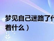 梦见自己迷路了代表什么（梦到自己迷路预示着什么）