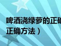 啤酒浇绿萝的正确方法适合浇（啤酒浇绿萝的正确方法）