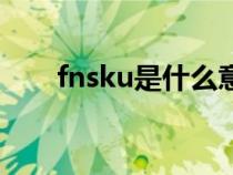 fnsku是什么意思（sku是什么意思）