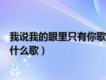 我说我的眼里只有你歌词是什么意思（我说我的眼里只有你什么歌）