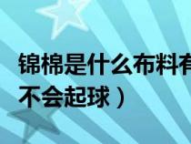 锦棉是什么布料有弹性吗（锦棉是什么布料会不会起球）